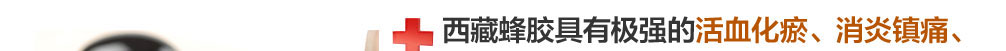 龙布峰针贴正品官网