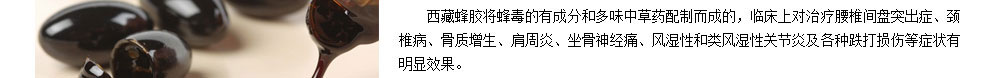 龙布峰针贴正品官网