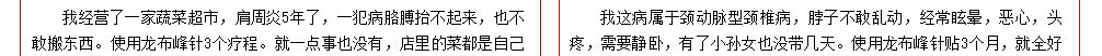 龙布峰针贴正品官网